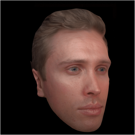 Lumirithmic 3d Appearance Capture At Scale